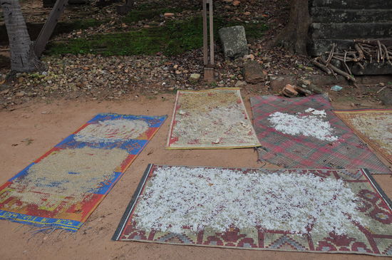 Wir kamen an eine Stelle wo reis auf Matten zum trocknen ausgelegt waren. Die Alten Leutchen bereiten sich auf ihre letzte Reise vor und wenn sie dann gegangen sind, nehmen sie den Reis mit auf ihrer Reise, damit sie keinen Hunger leiden müssen.