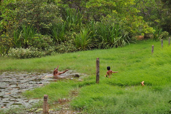 Kinder beim baden zwischen Reisfeld und Lotusteich