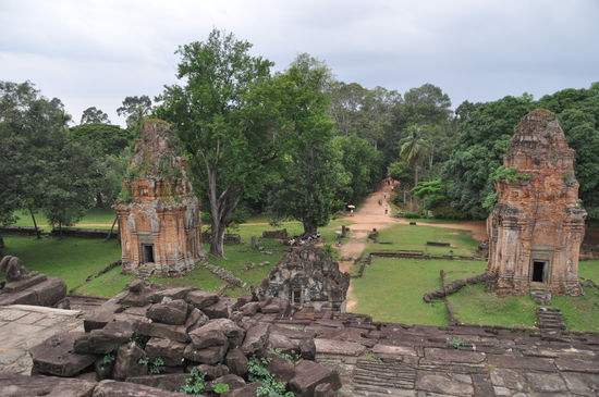 ... und in den Dschungel