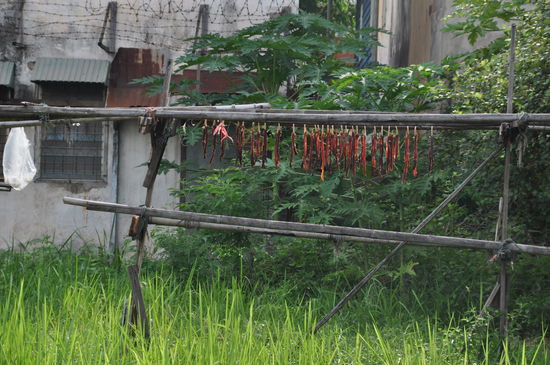Fleisch wird in der Sonne getrocknet.