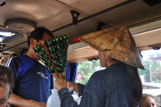 Gegrillte bunte Käfer