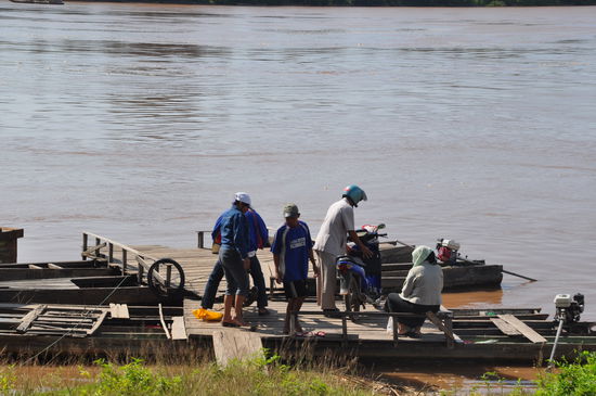 Drei zusammen gebundene Boote = Fähre für Mopeds und Menschen über den Mekong ...