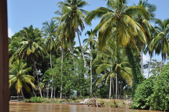 Langsam nähere ich mich meinem Ziel