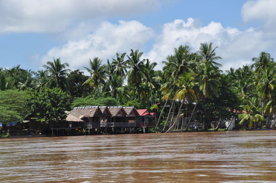 Die Anlegestelle ist schon in Sicht, vierte Palme von links 