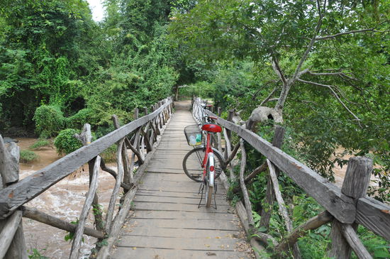 Solide Holzbrücke? Ja, ich habe es überlebt 