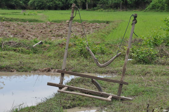 Feldpflug des Wasserbüffels, ebenfalls in der Mittagspause 