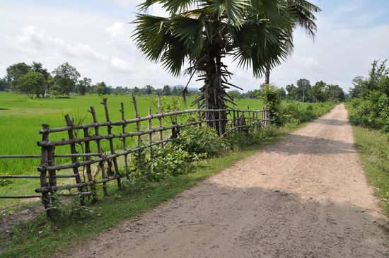 Die alte Bahntrasse, auch wenn man keine Schienen mehr sieht, umso besser kann man sie mit dem Fahrrad befahren.