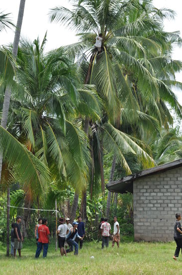 Fußball spielen und Kokosnüsse ernten 