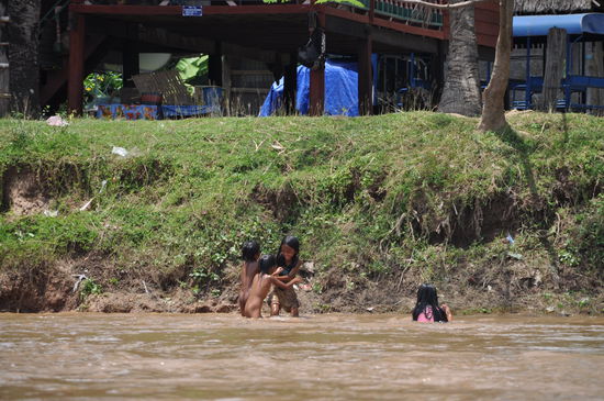 Flussleben: Badevergnügen