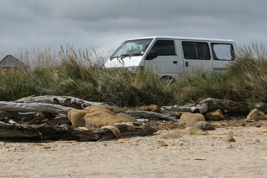 's Bussle liegt auf der Lauer. Was hat's wohl im Visier? Ein Hirsch?