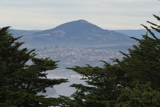 Aussicht vom Lanarch Castle auf Dunedin