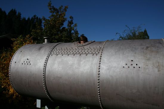 Guckguck! Wo bin ich?