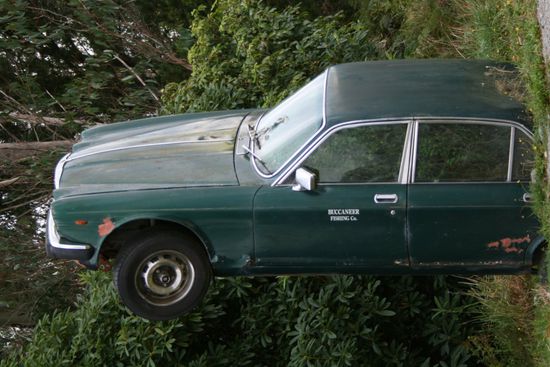 Ja! So kann's gehen, wenn man den Ratschlägen eines Kiwis folgt. Also immer schön wachsam sein!