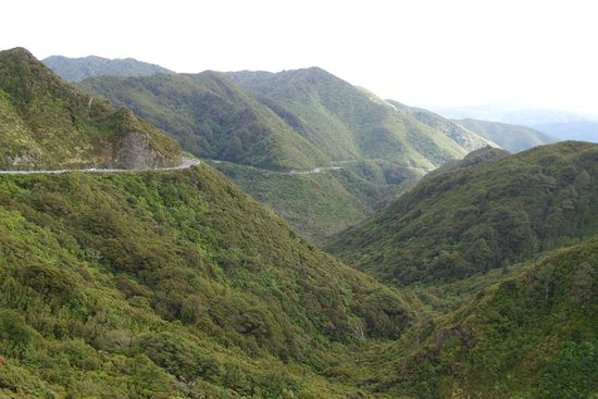 Zurück in die Natur!