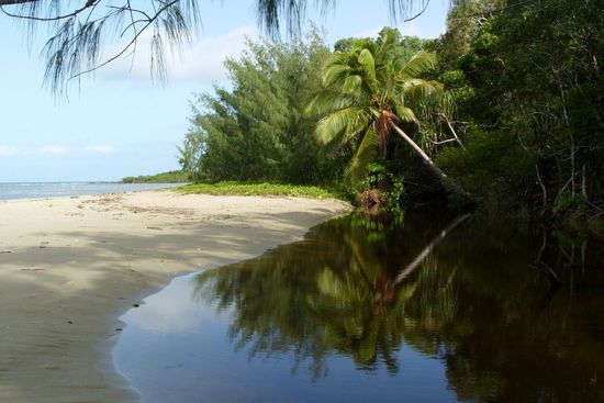 Nach einem Abstecher ins abgelegene Cooktown, besuchen wir Cape Tribulation. Where the Reef meets the Regenwald... oder so ähnlich.