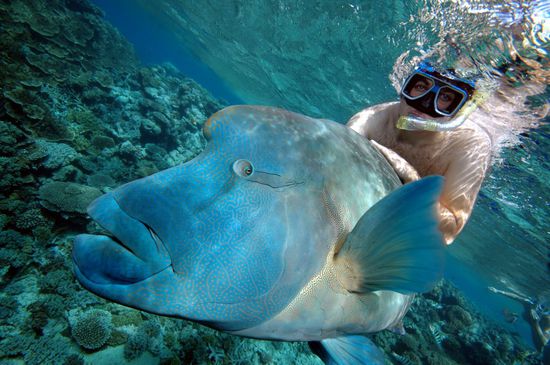Ob das der gleiche ist, denn ich auf der Bootsfahrt hierher über die Reling gefüttert hab? Na ja, satt sieht er jedenfalls aus.