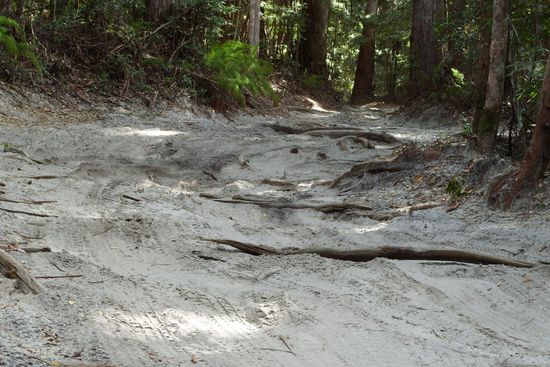 Geteerte Straßen gibt es hier nicht. Es gibt Sandwege im Inland...