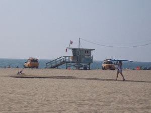 ...in Venice Beach