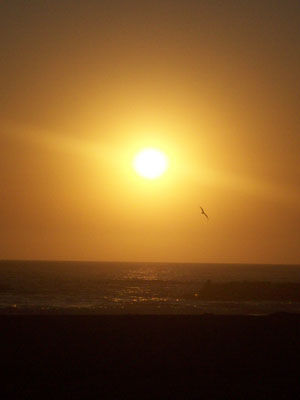 Unser letzter Sonnenuntergang am Strand