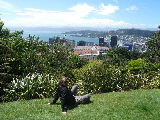 Im Botanischen Garten mit Aussicht auf Wellington