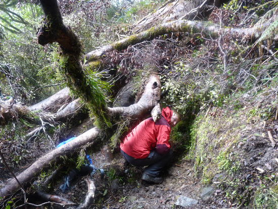 Adventure Trip: kriechen...