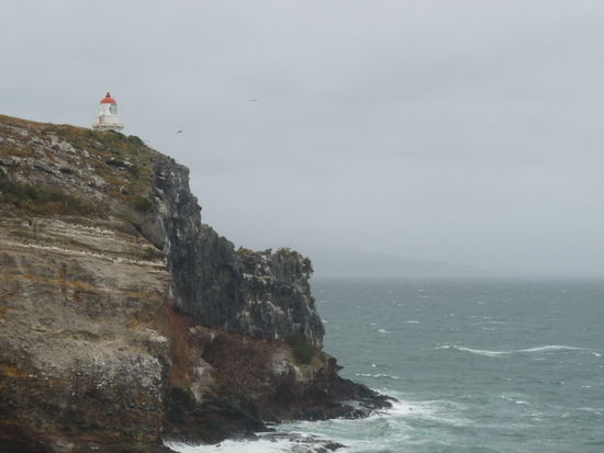 Leuchtturm auf der Otago Peninsula