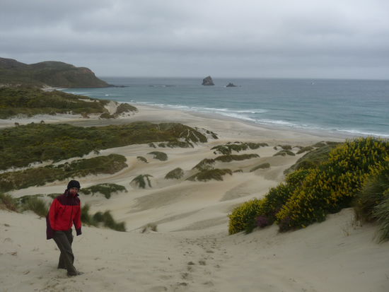 Am Sandfly Bay. Am anderen Ende des Strandes waren die Pinguine.
