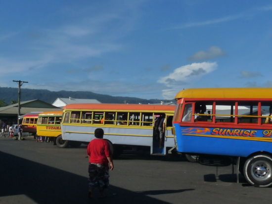 Farbenfrohe Local Buses