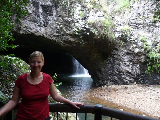 Schoener Wasserfall im Springbrook/ Natural Bridge National Park