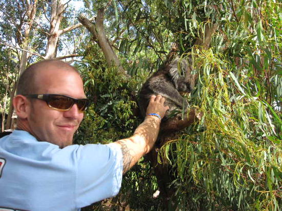 Matze beim Koala streicheln