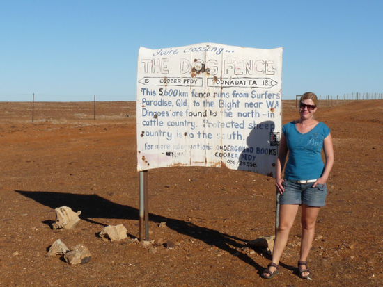 Hier sind wir am 5600 km langen Dingo Zaun, der durch halb Australien geht
