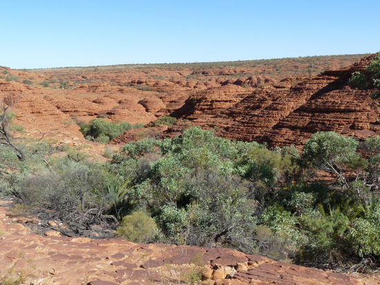 Landschaft im National Park