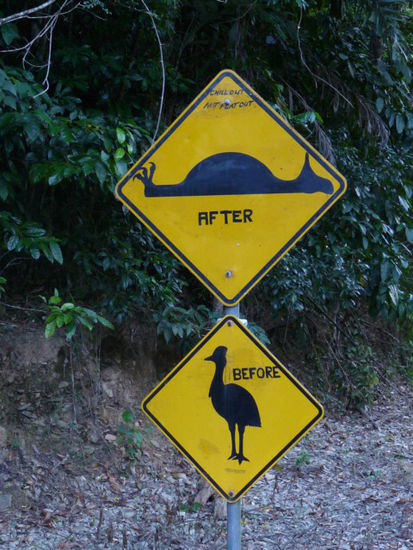Leider haben wir kein Casowary gesehen. Aber das Schild fuer den Speed Bump ist trotzdem super!