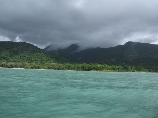 Am Cape Trip geht der Regenwald direkt ins Riff ueber. Ziemlich wellig!!!