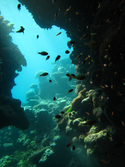 Schoenes Swimmthrough