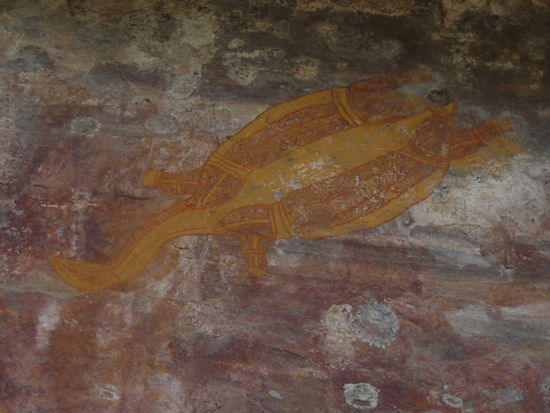 Schoene Schildkroete