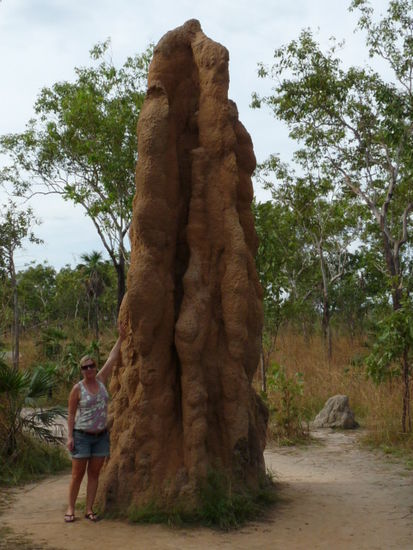 Riesige Termitenhuegel auf dem Weg zum Litchfield National Park