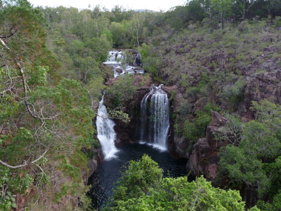 Florence Falls vom Lookout