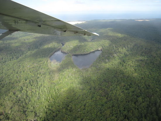Butterfly Lake