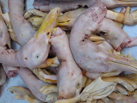 Enten- oder Gaensekoepfe