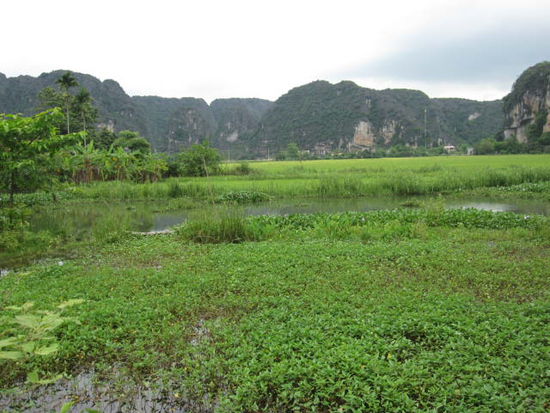 Wunderschoene Landschaft