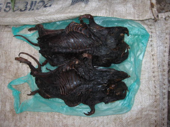Sind das gegrillte Ratten?