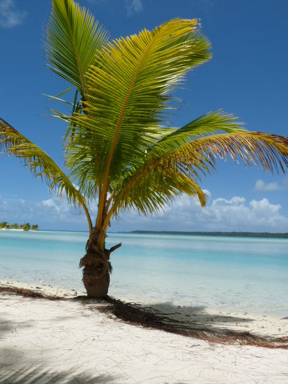 Traumstrand Ootu Beach