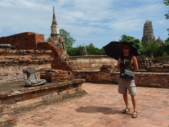Matze unterm Sonnenschirm im Wat Phra Mahathat