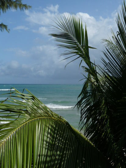 Blick von unserem Balkon
