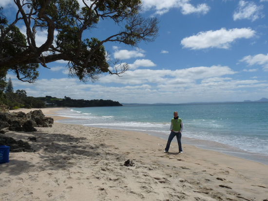 Auf dem Weg nach Whangarei