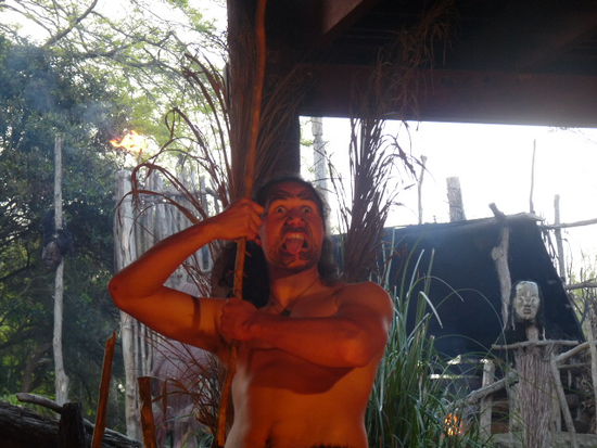 Maori beim Kriegstanz