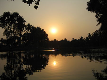 Backwaters Kumarakom