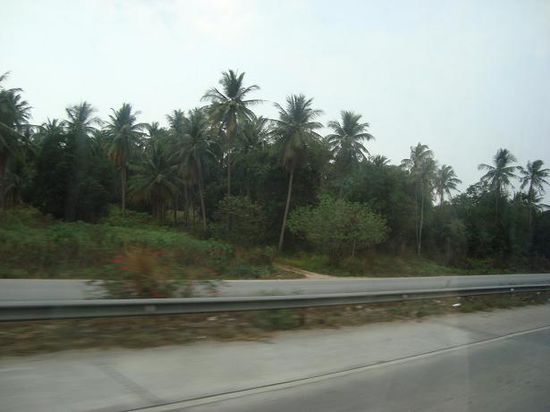 Busfahrt: zwischen Pattaya und BKK