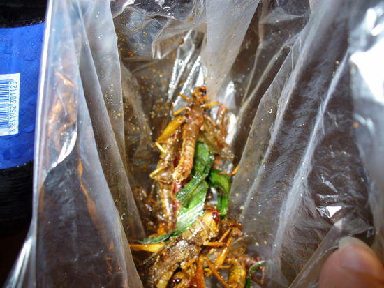 Es wurde alles gegessen !!!